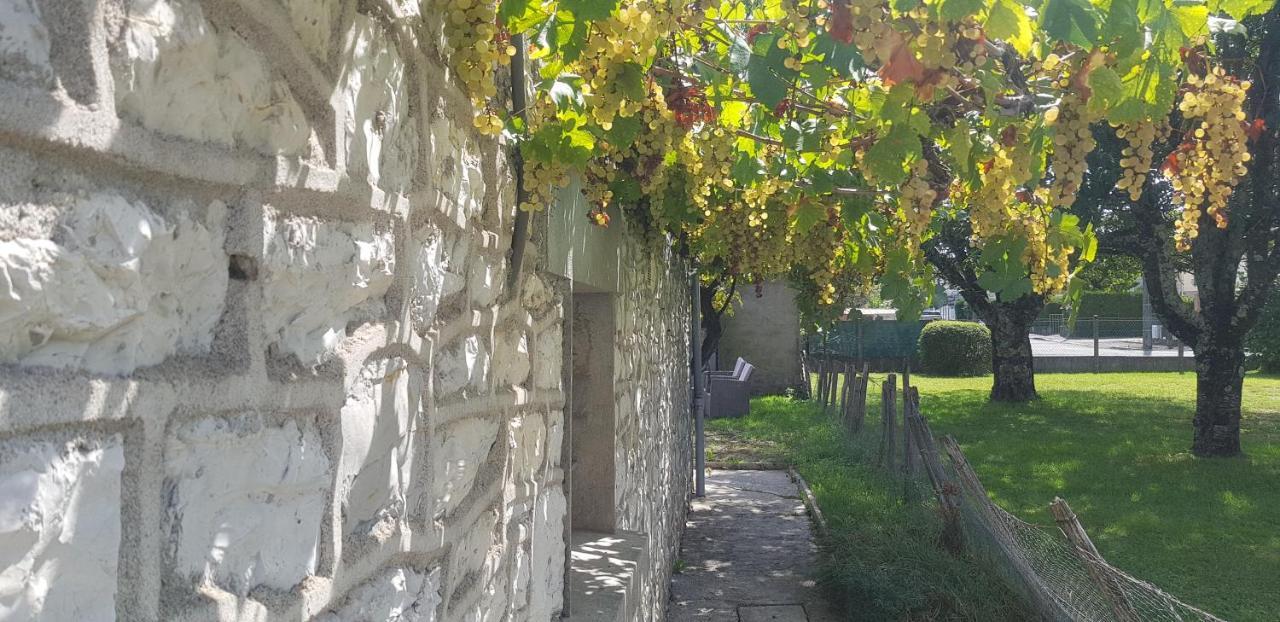 Wifi Clim Garage Jardin Bbq Cosy House Brive-la-Gaillarde Exterior foto